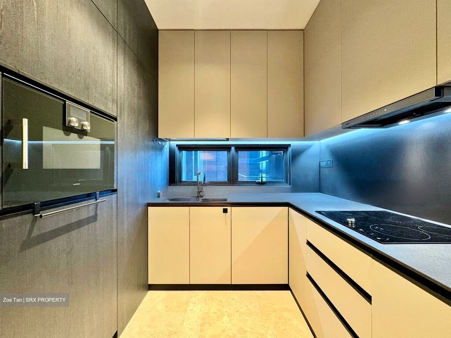 3 Cuscaden (D10), Apartment #471715111